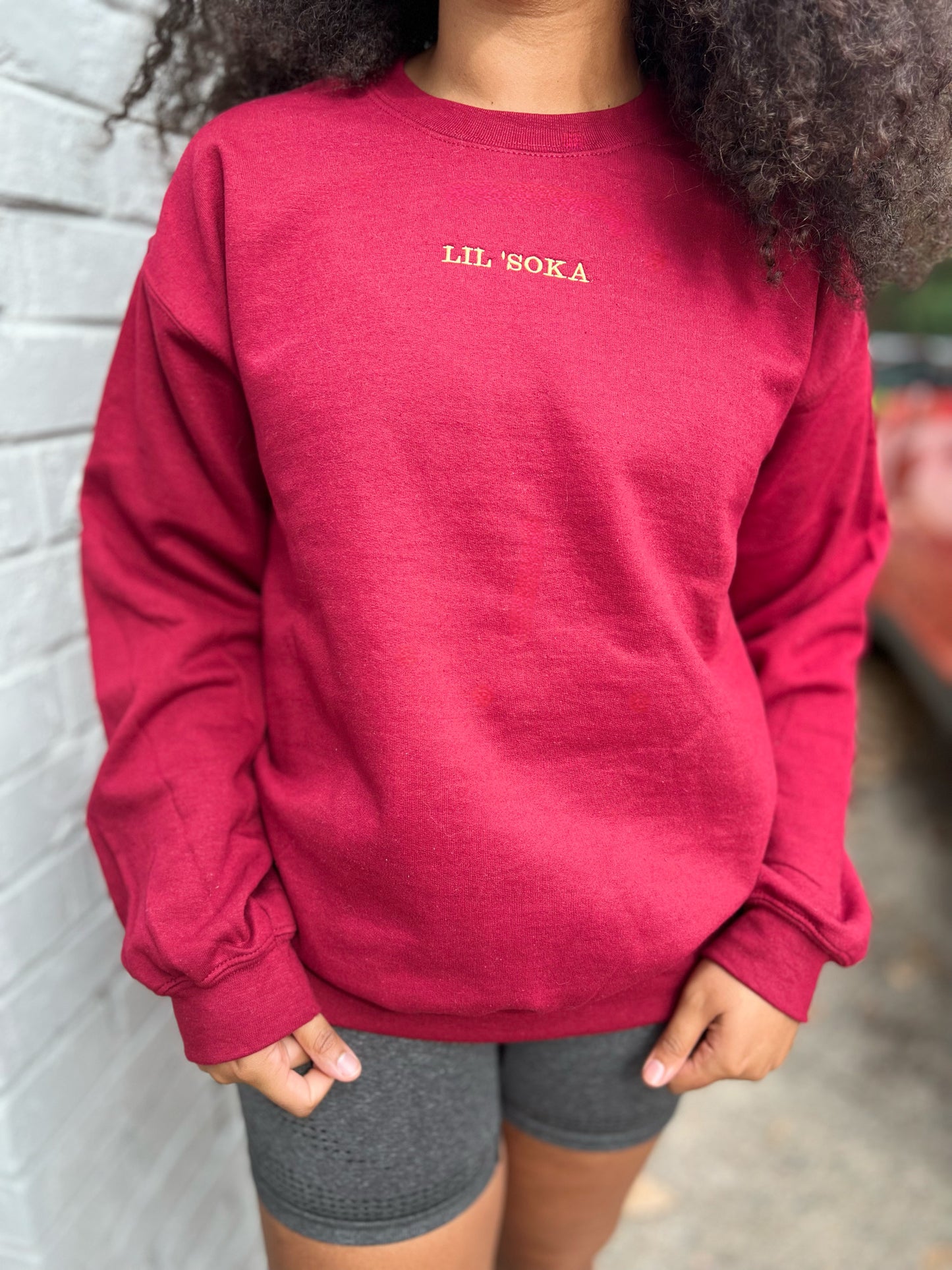 SW Inspired One Liners | Embroidered Crewneck Sweatshirt (Unisex) | Simple